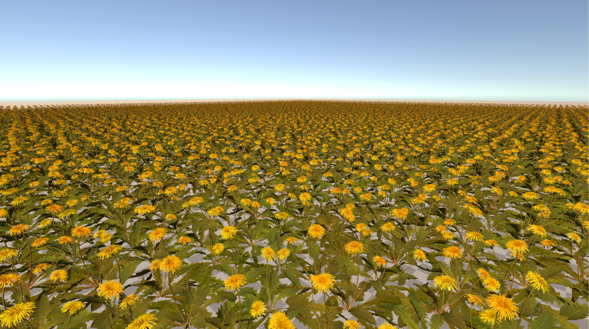 Foliage scattered across a wide field, extending to the horizon