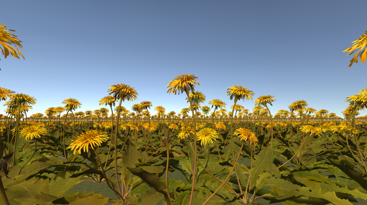 Ground-level view of scattered foliage against a clear sky